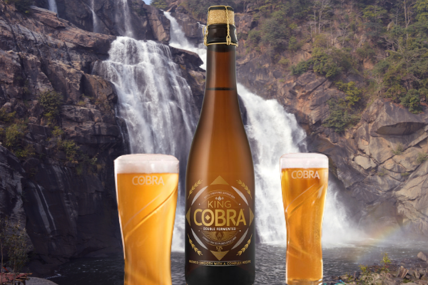 Vad ska man dricka till indisk mat? Cobra – Indisk öl